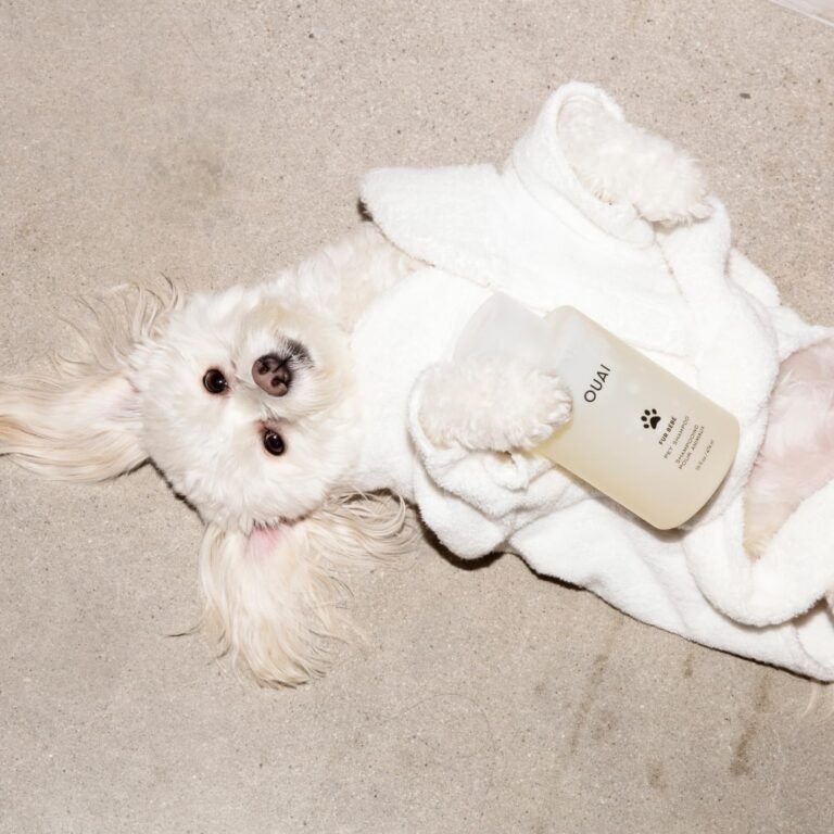 71K Dqiw7L. AC SL1500 HearthSide Picks