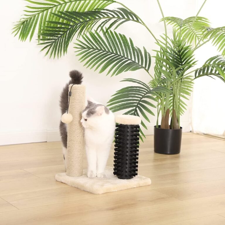 71hPkJ7g7vL. AC SL1200 HearthSide Picks