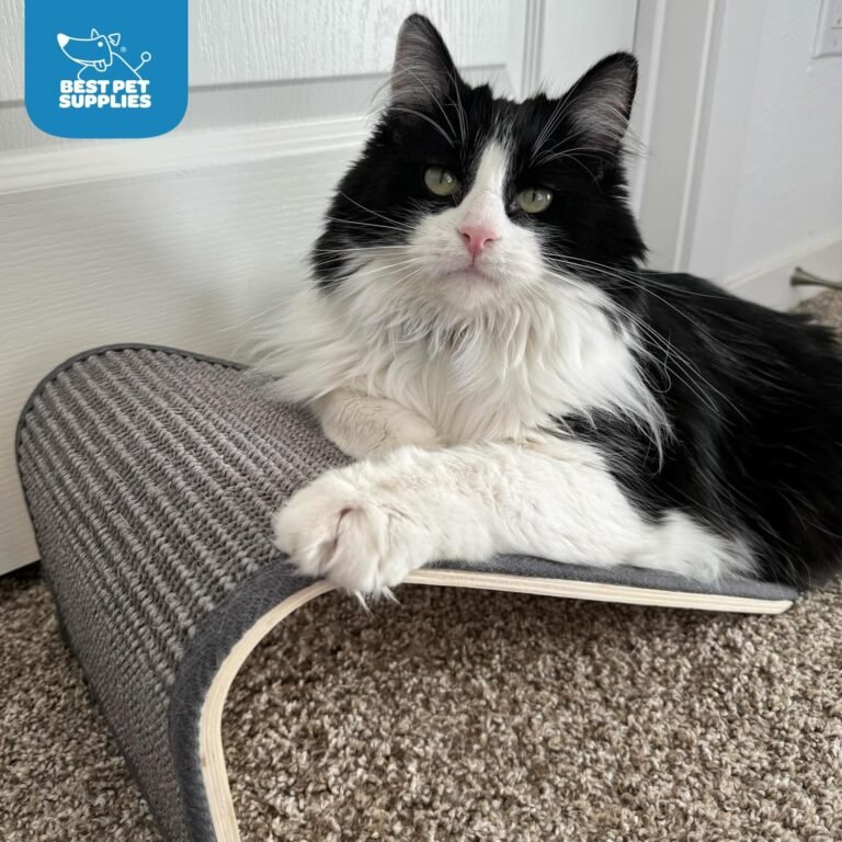 8190dtmt8JL. AC SL1500 HearthSide Picks