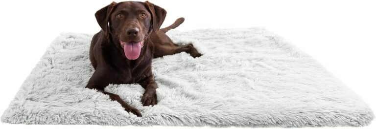 Calming Blanket: 7 Ultimate Steps For Best Pet Comfort In 2026 4 71 UmW tgL. AC SL1500 HearthSide Picks
