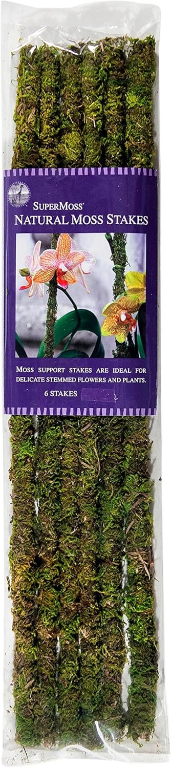 81Q9QYDs5GL. AC SL1500 HearthSide Picks