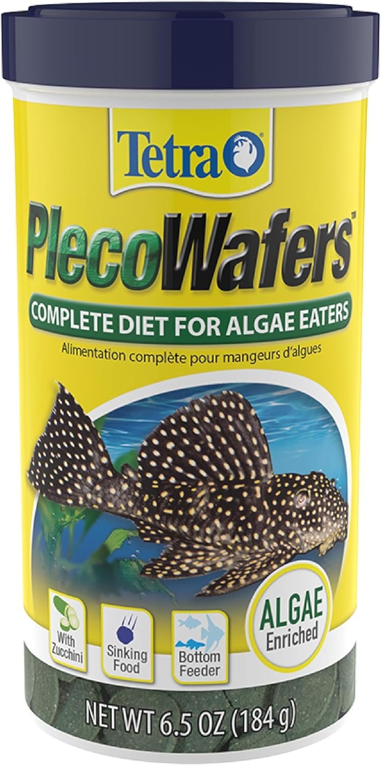 Pleco Wafers: 10 Ultimate Secrets For Best Aquarium Results In 2026 4 81TA4eHUiTL. AC SL1500 HearthSide Picks