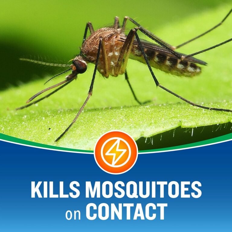 Product Reviews 1 81xXBB9alL. AC SL1500 HearthSide Picks