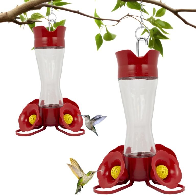 Hummingbird Feeder: 2 Ultimate Solutions For Amazing Outdoor Feeding In 2026 4 81zhT2IR6SL. AC SL1500 HearthSide Picks