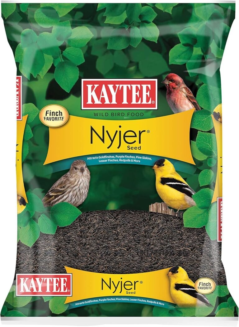 Nyjer Seed: 3 Ultimate Secrets For Amazing Bird Feeding In 2026 22 91um mny8KS. AC SL1500 HearthSide Picks