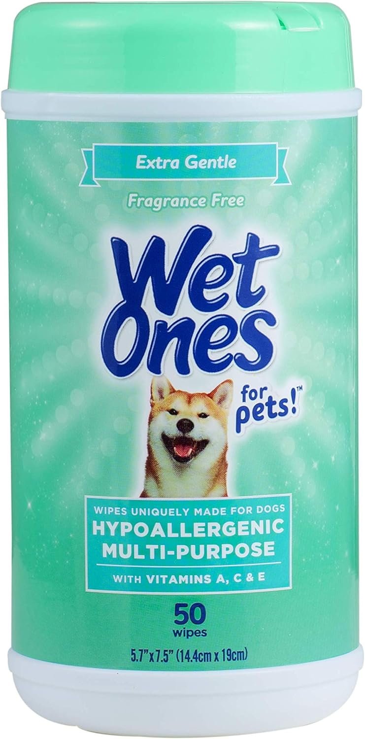 Wet Ones for Pets Hypoallergenic Dog Wipes: Should You Choose These Fragrance-Free Wipes for Your Dog in 2026? 4 81dK9KLhMlL. AC SL1500 HearthSide Picks