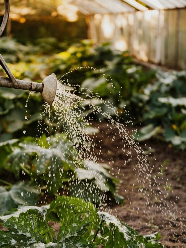 pexels-karola-g-4750269